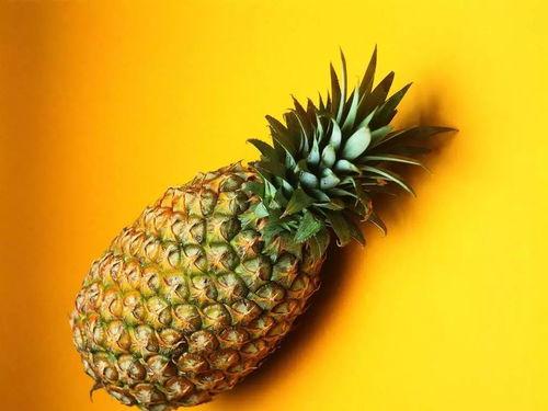 娱乐吃瓜小菠萝小说,揭秘娱乐圈背后的秘密与八卦